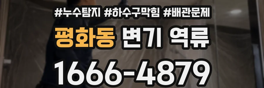 평화동 변기 역류