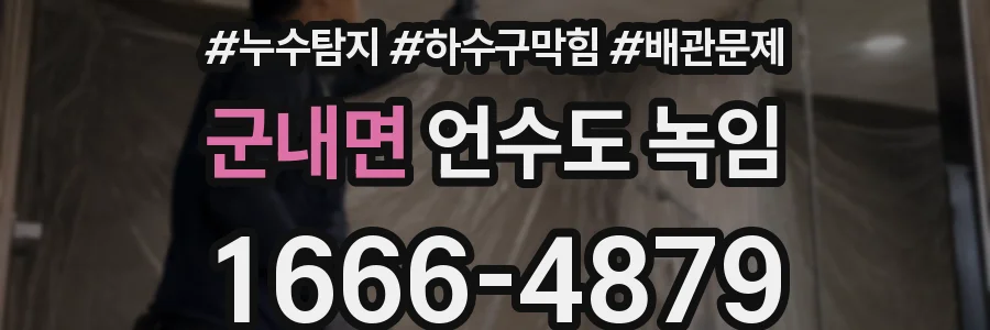 군내면 언수도 녹임