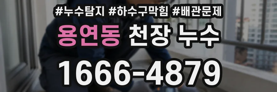 용연동 천장 누수