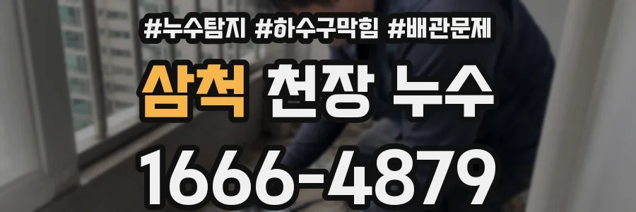 삼척 천장 누수