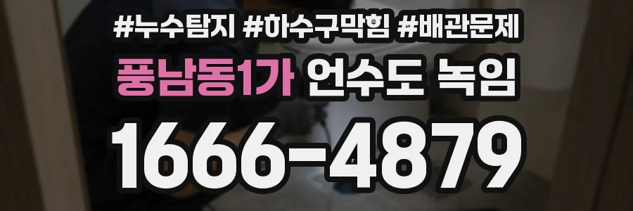 풍남동1가 언수도 녹임