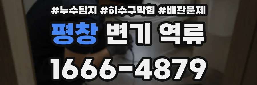 평창 변기 역류