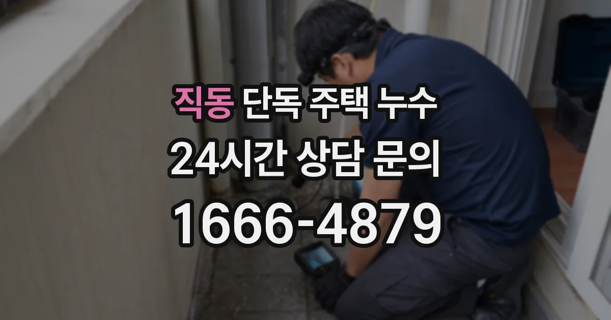 직동 단독 주택 누수