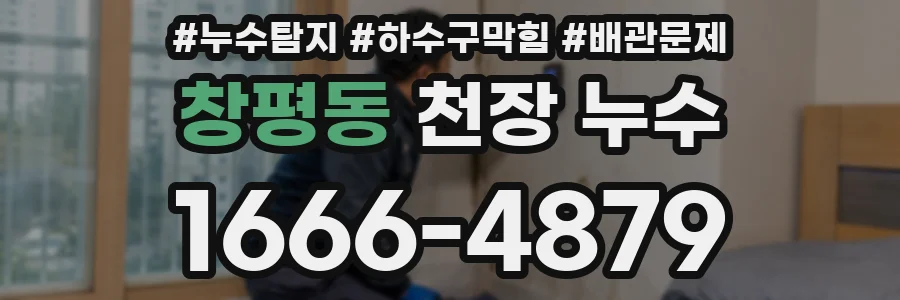 창평동 천장 누수