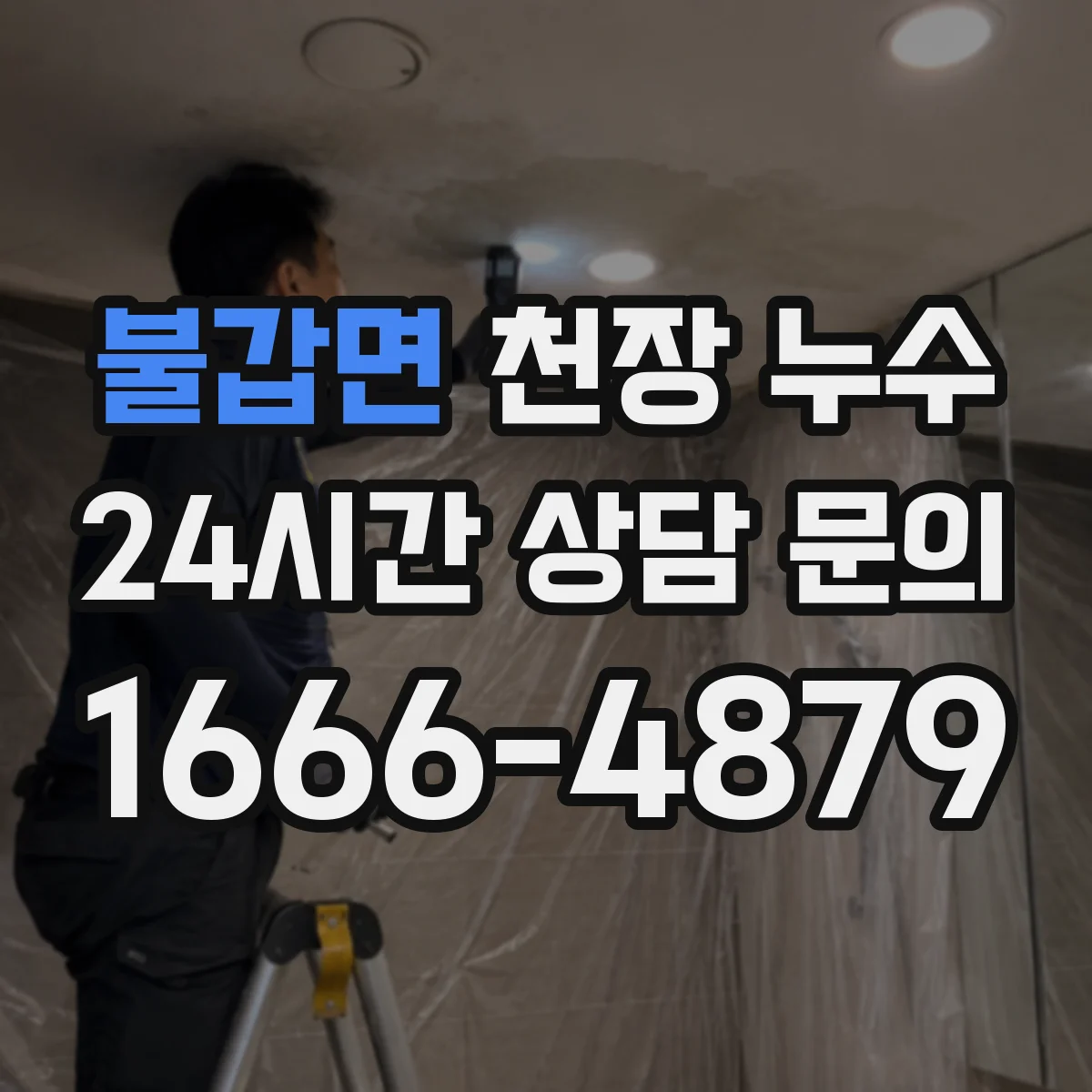 불갑면 천장 누수
