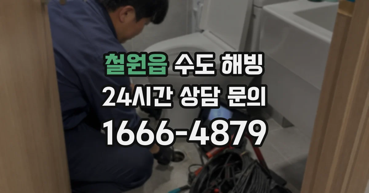 철원읍 수도 해빙