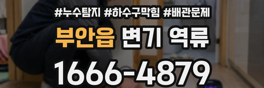 부안읍 변기 역류
