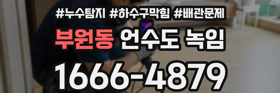 부원동 언수도 녹임