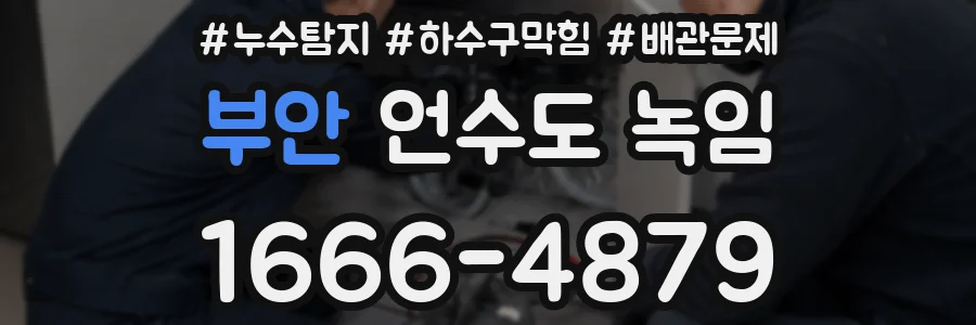 부안 언수도 녹임