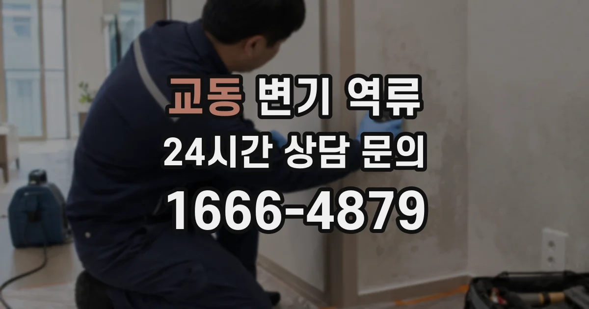 교동 변기 역류