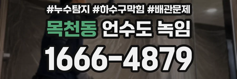 목천동 언수도 녹임