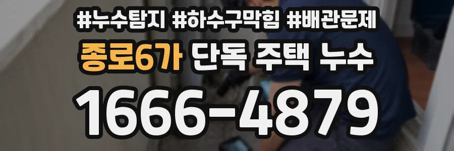 종로6가 단독 주택 누수