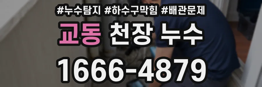 교동 천장 누수