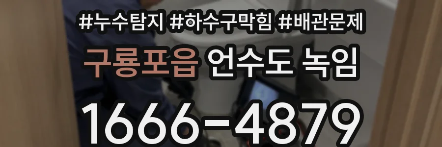 구룡포읍 언수도 녹임