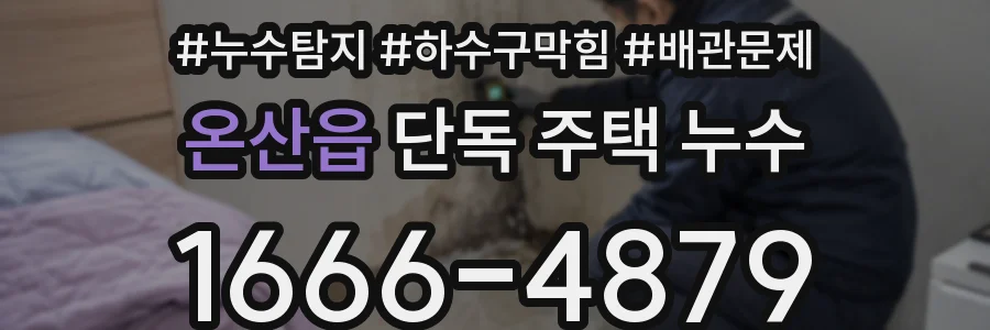 온산읍 단독 주택 누수