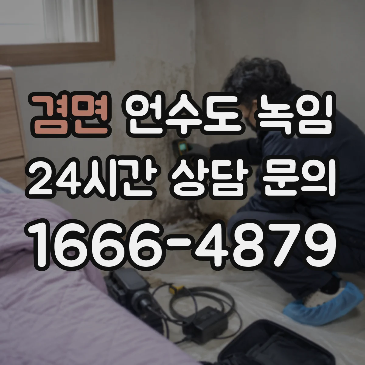 겸면 언수도 녹임
