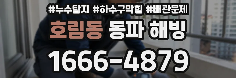 호림동 동파 해빙