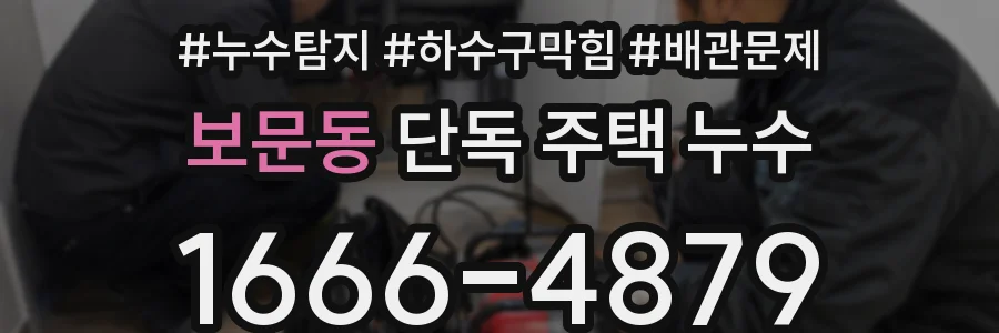 보문동 단독 주택 누수