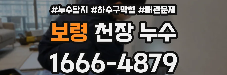 보령 천장 누수