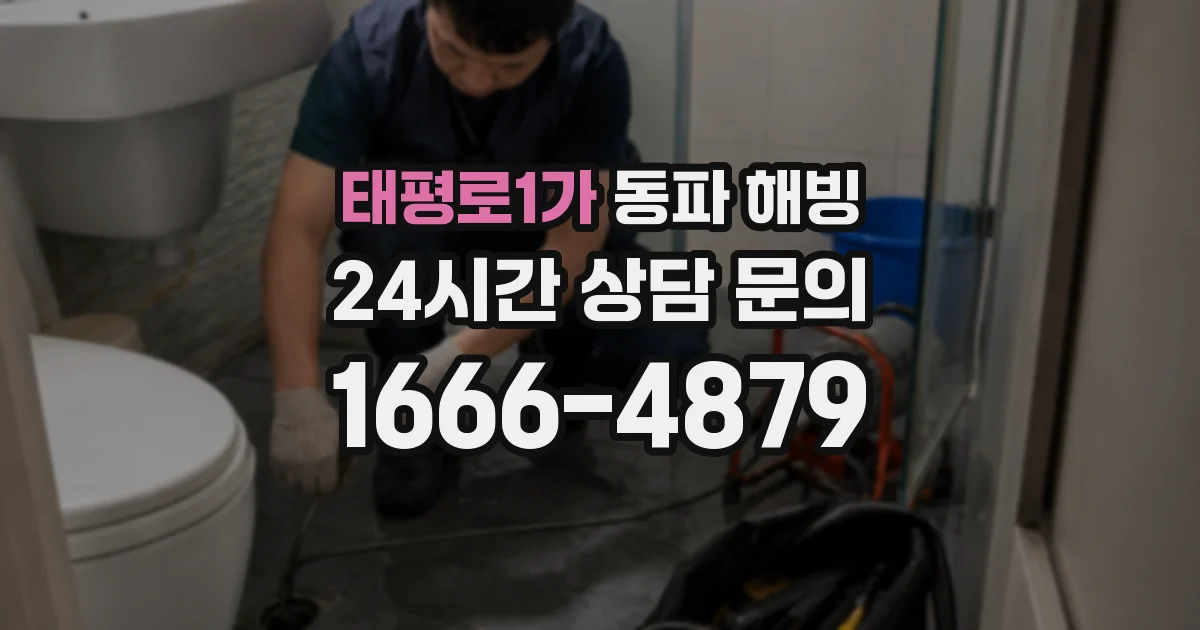 태평로1가 동파 해빙