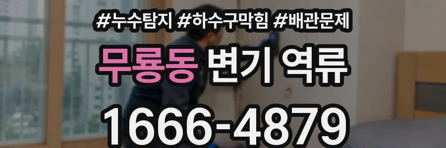 무룡동 변기 역류