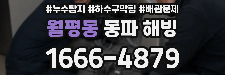 월평동 동파 해빙