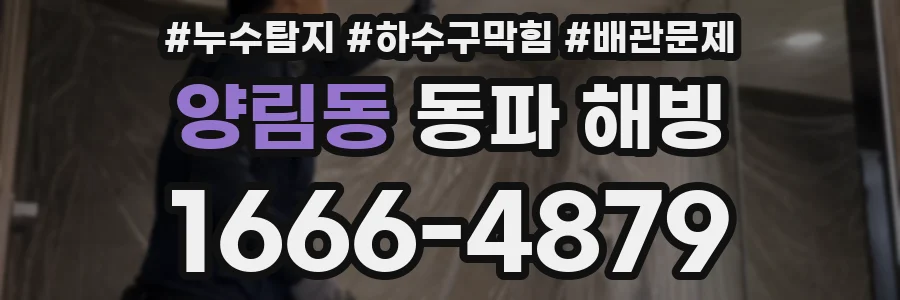 양림동 동파 해빙
