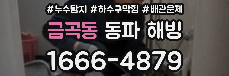 금곡동 동파 해빙