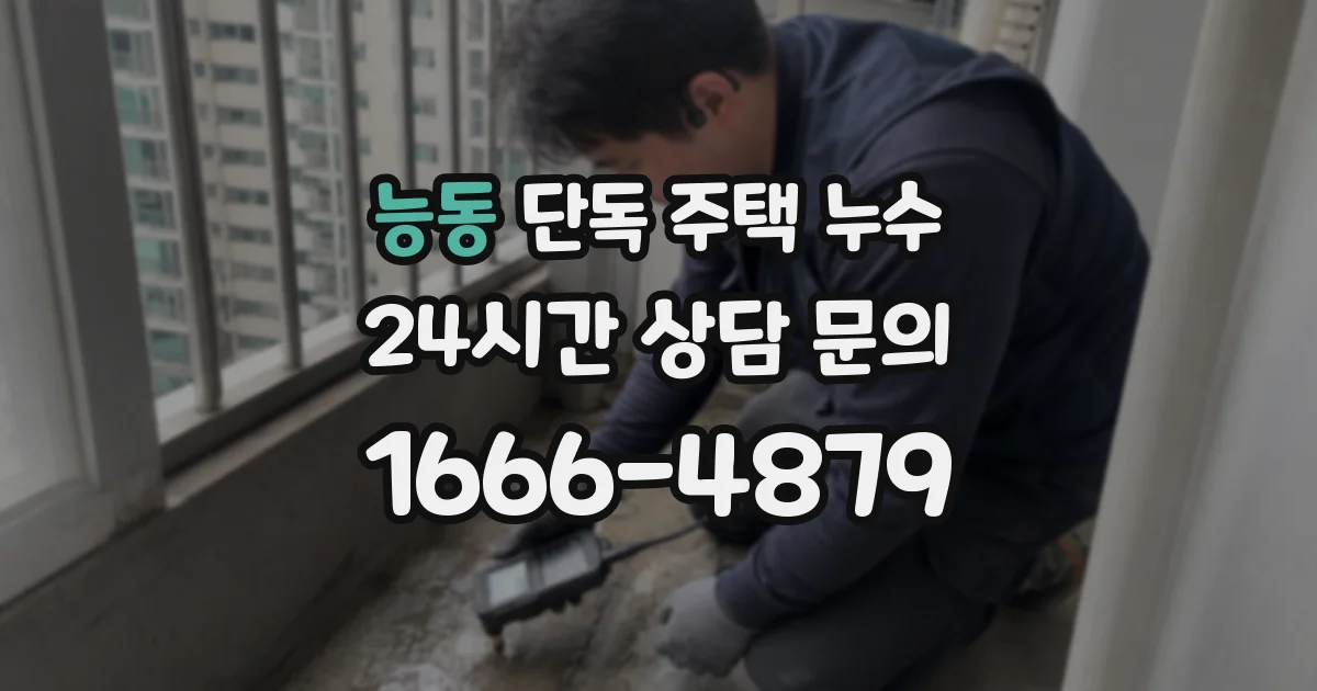 능동 단독 주택 누수