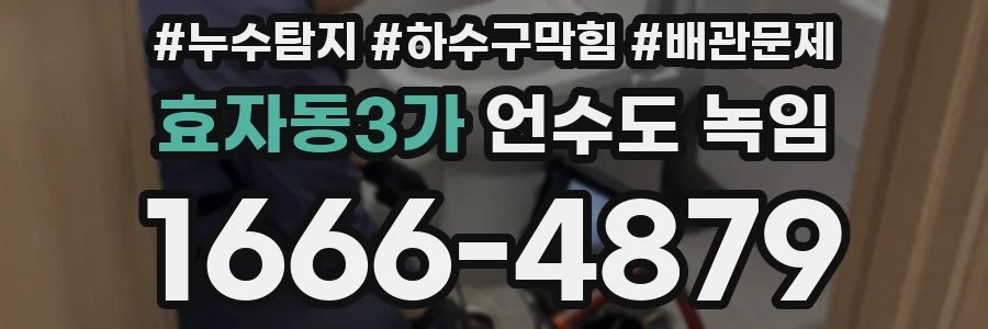 효자동3가 언수도 녹임