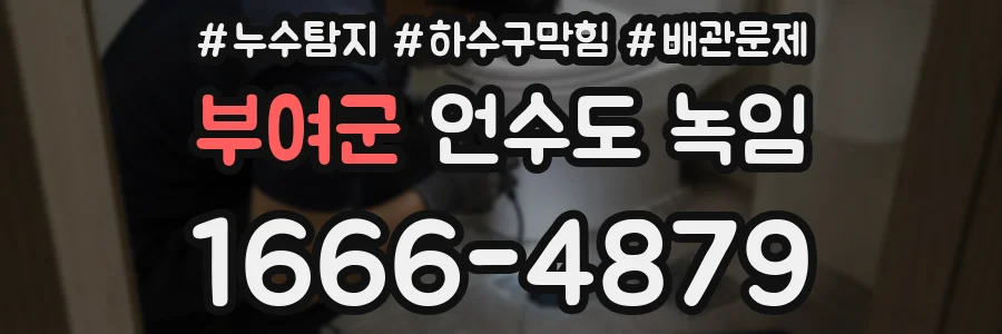부여군 언수도 녹임