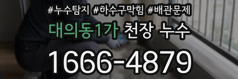 대의동1가 천장 누수