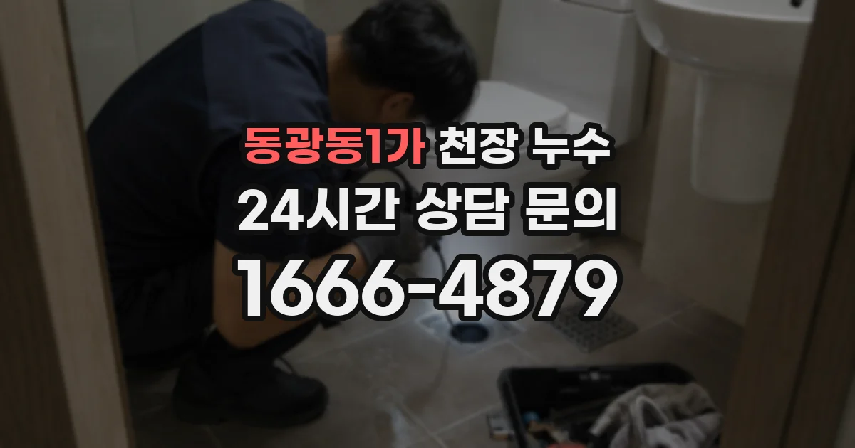 동광동1가 천장 누수