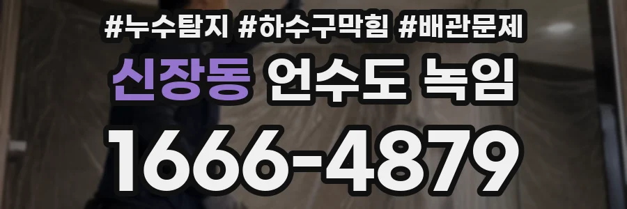 신장동 언수도 녹임