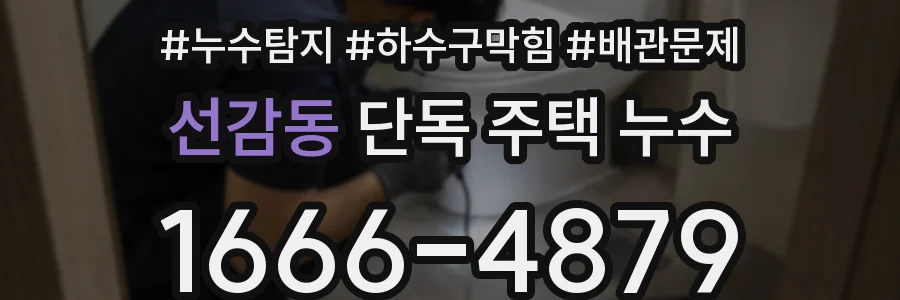 선감동 단독 주택 누수