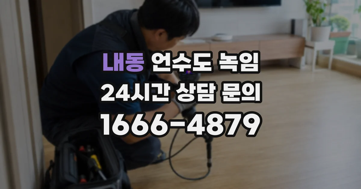 내동 언수도 녹임
