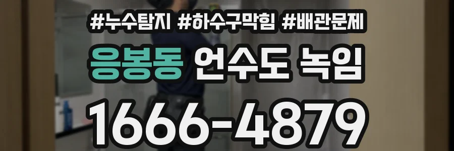 응봉동 언수도 녹임