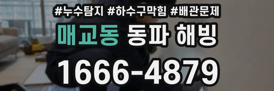 매교동 동파 해빙