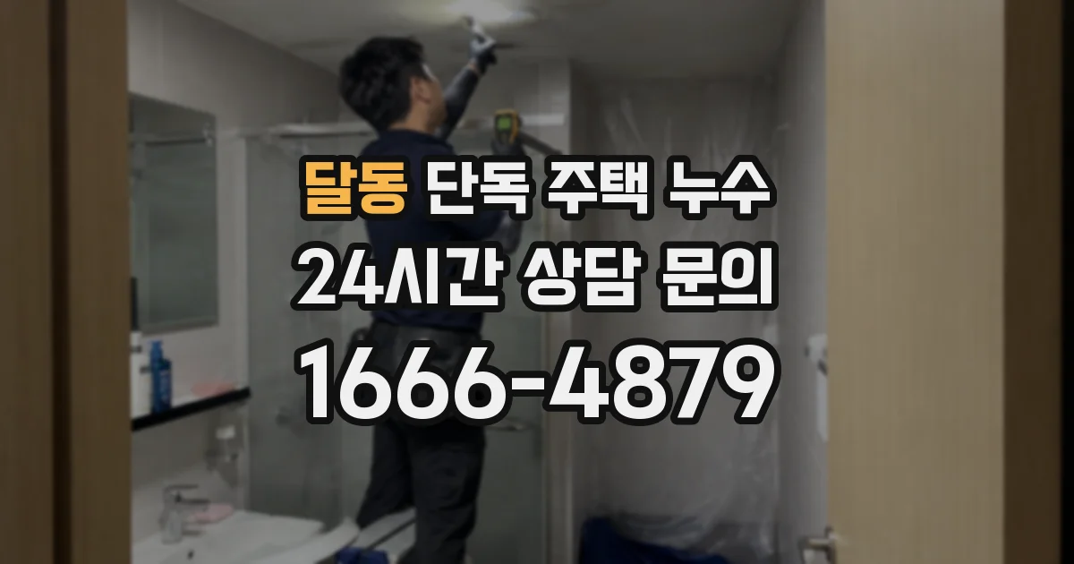 달동 단독 주택 누수