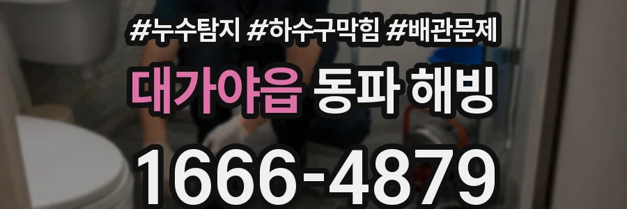 대가야읍 동파 해빙