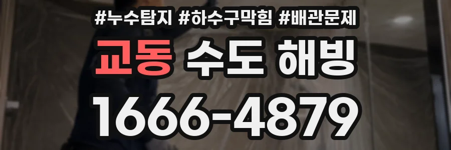 교동 수도 해빙
