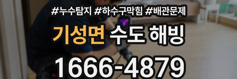 기성면 수도 해빙