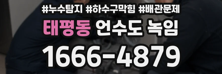태평동 언수도 녹임