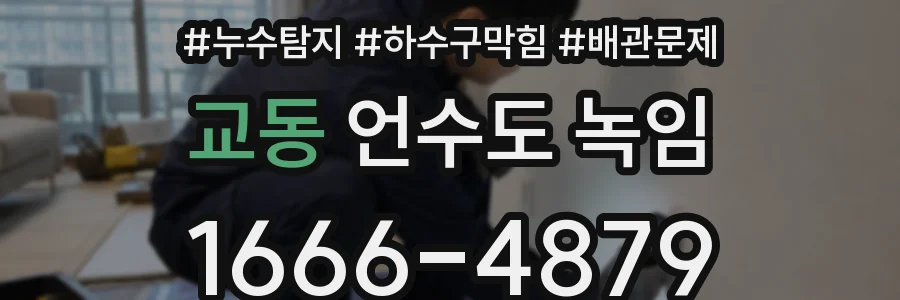 교동 언수도 녹임
