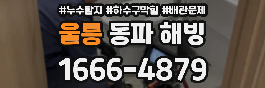 울릉 동파 해빙