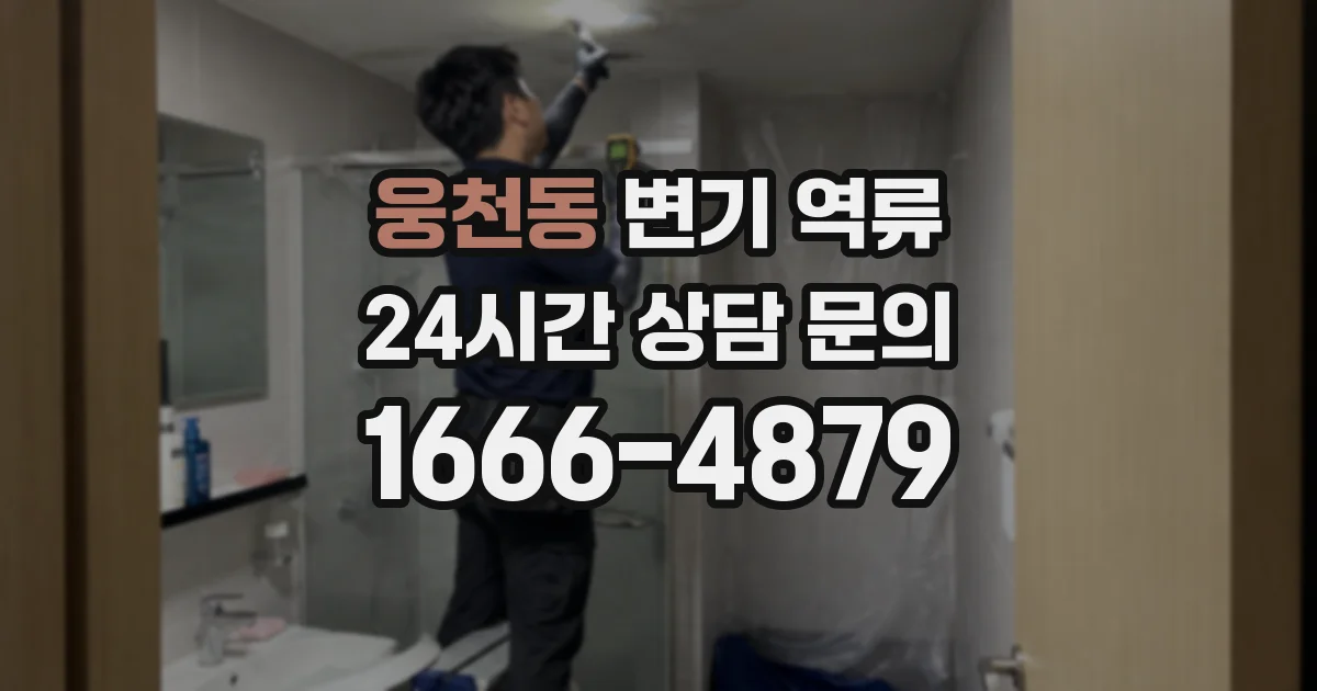 웅천동 변기 역류