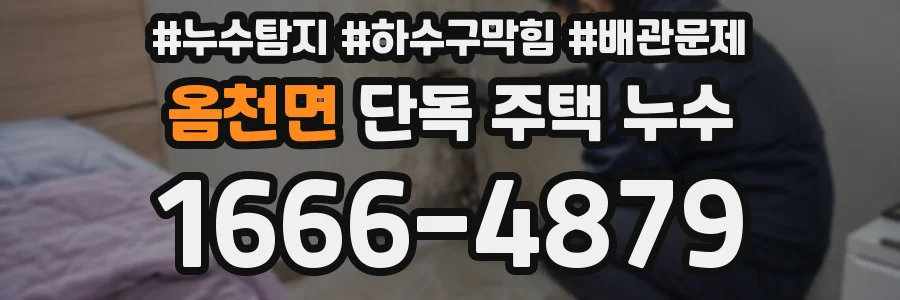 옴천면 단독 주택 누수