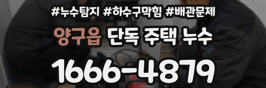양구읍 단독 주택 누수