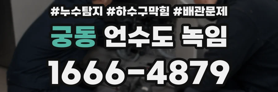 궁동 언수도 녹임