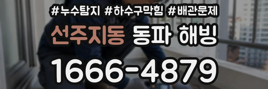 선주지동 동파 해빙